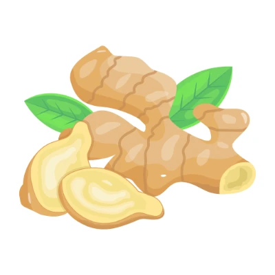 Ilustração de um gengibre